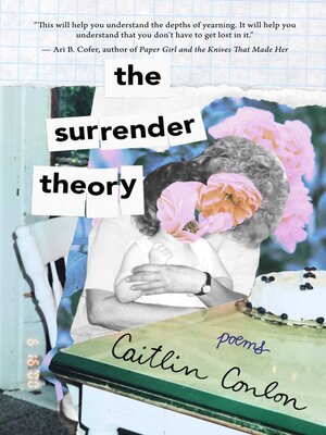 cover image of The Surrender Theory